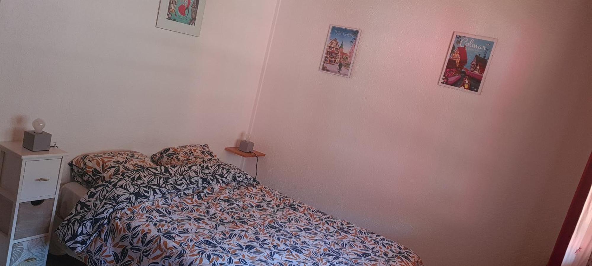 Gite Et Chambres D'Hotes Les Framboises Katzenthal Exterior photo